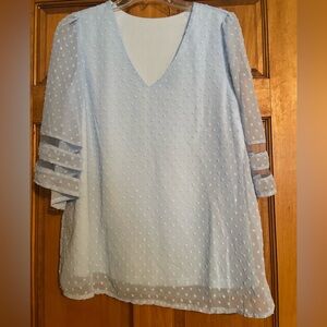 Light Blue Sheer Swiss Dot Blouse
